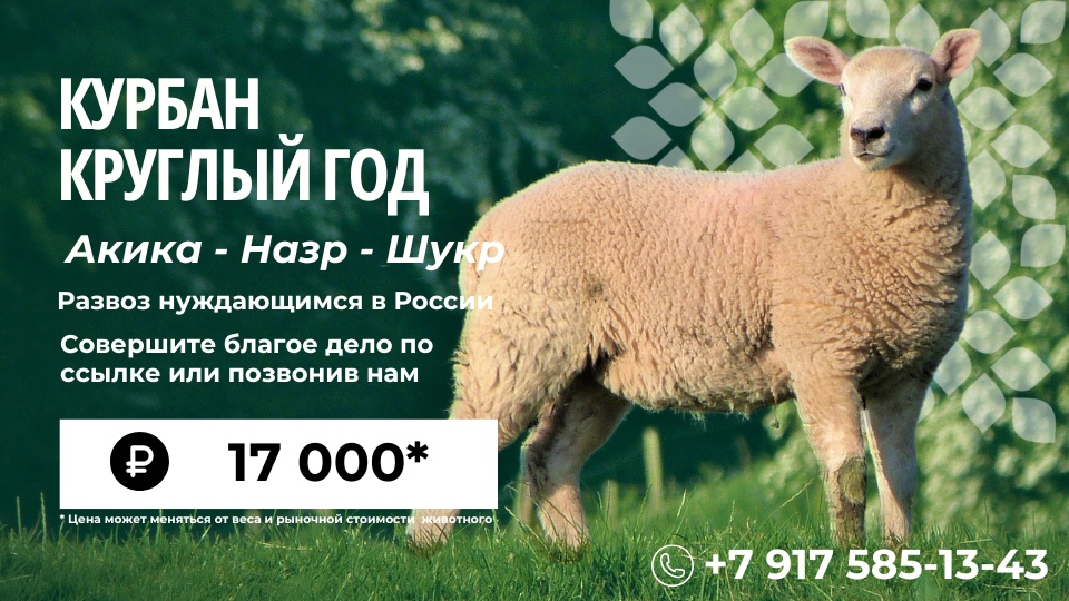 Курбан круглый год
