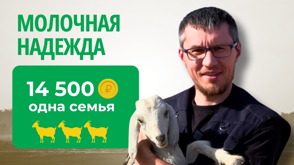 Проект «Молочная надежда» — продолжение добрых дел в Чаде
