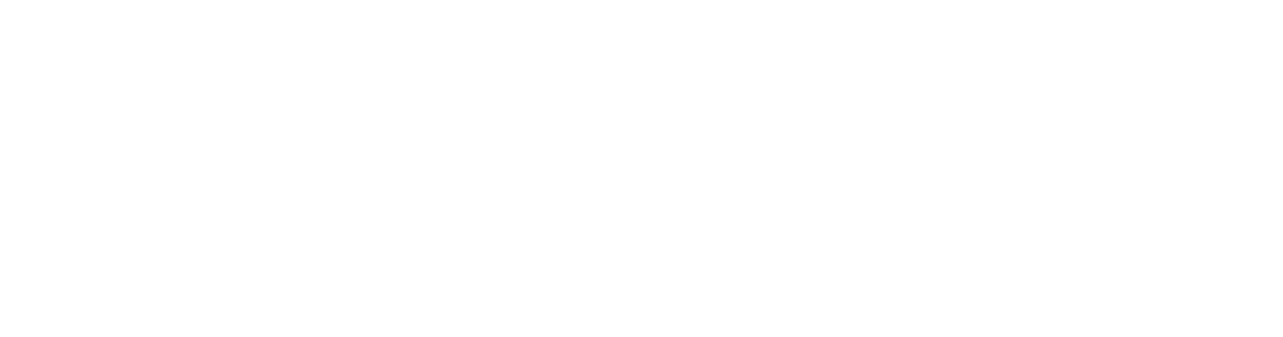 365 дней